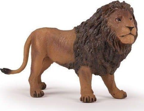 Papo 50191, 3 år, Wild animal kingdom, Brun, PVC