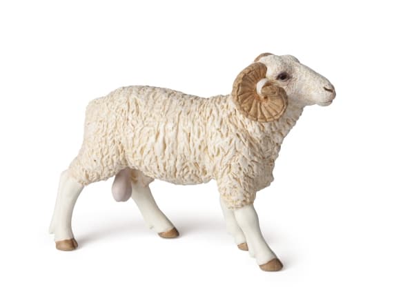 Papo Ram, 3 år, Farmyard friends, Beige, PVC
