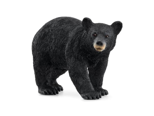 Schleich Amerikansk svartbjörn