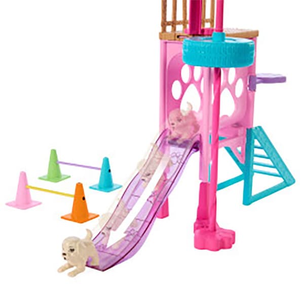 Barbie Til Rescue Puppy Training Park Doll Stacie Rosa