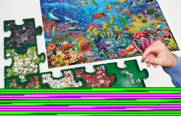 Educa Puzzle Sorter