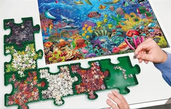 Educa Puzzle Sorter