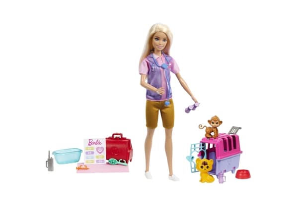 Barbie Doll and Accessories, Motedukke, Jente, 3 år, Jente, Flerfarget