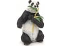 Miniatyrbild 2 av 2: Panda med bambu