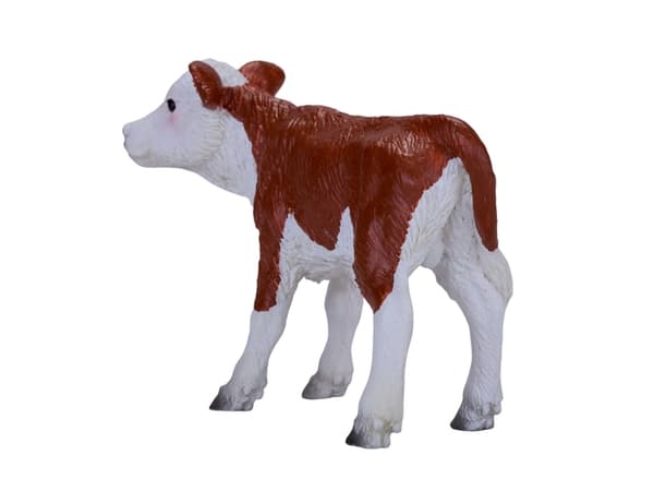 Mojo Hereford kalv