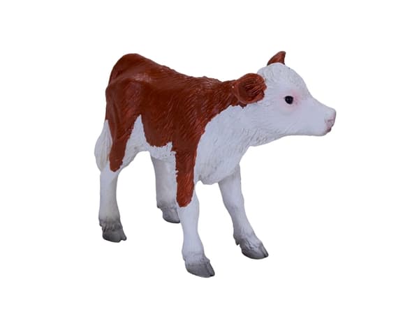 Mojo Hereford kalv