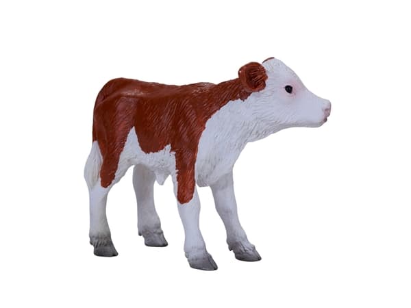 Mojo Hereford kalv