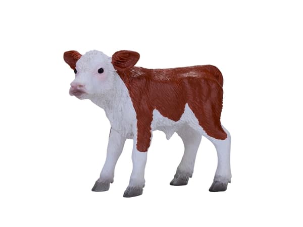 Mojo Hereford kalv