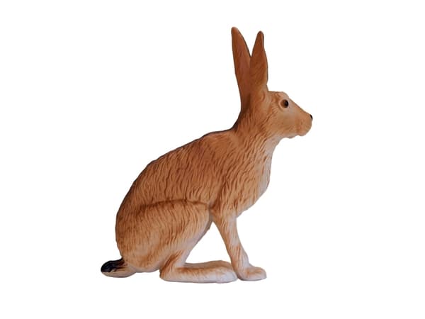 Mojo Hare, Siddende