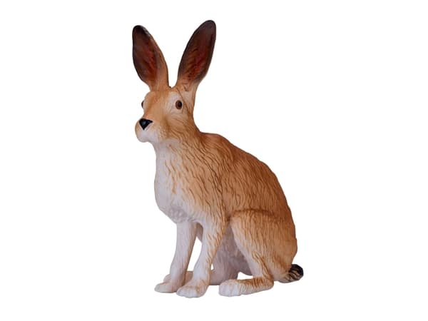 Mojo Hare, Siddende