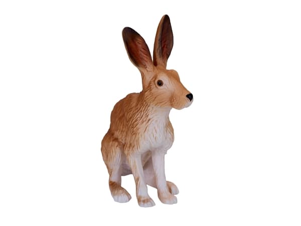 Mojo Hare, Siddende