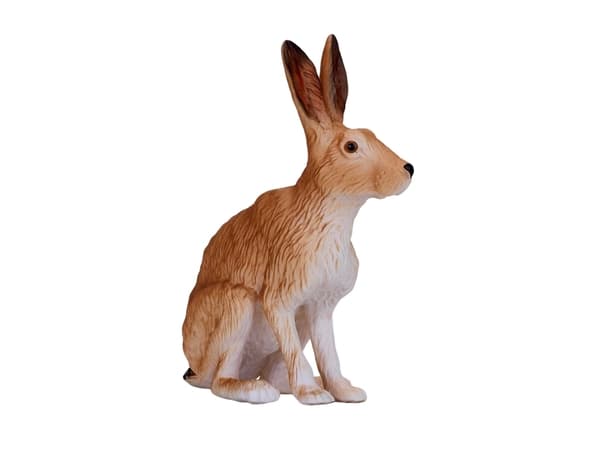 Mojo Hare, Siddende