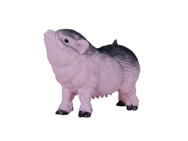 Mojo Belt Piglet nuori
