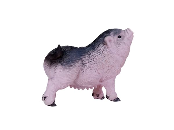 Mojo Belt Piglet nuori