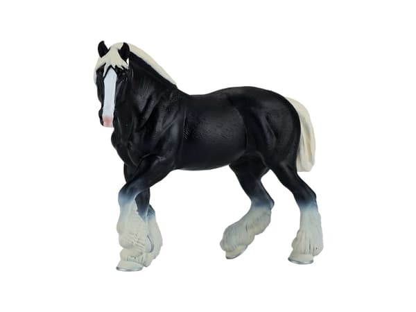 Mojo Clydesdale hest, Sort