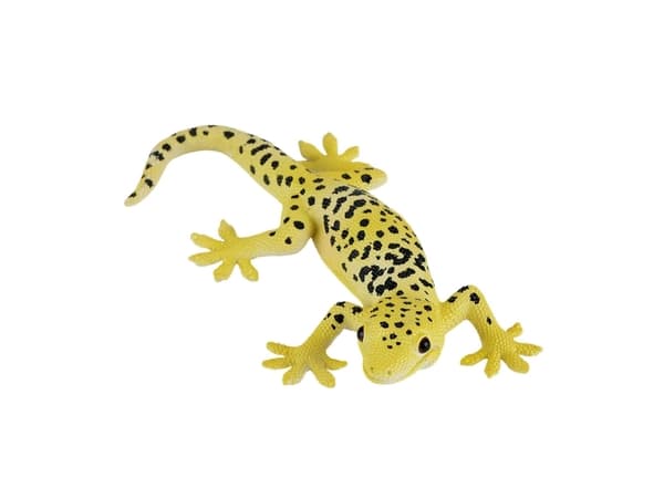 Mojo-leopardigecko