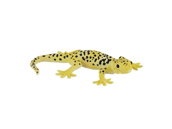 Mojo-leopardigecko