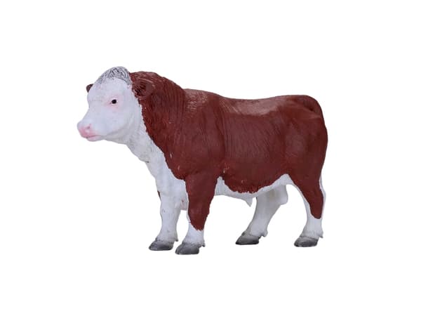 Mojo Hereford tyr