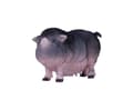 Pikkukuva 3 / 5: Mojo Belt Pig