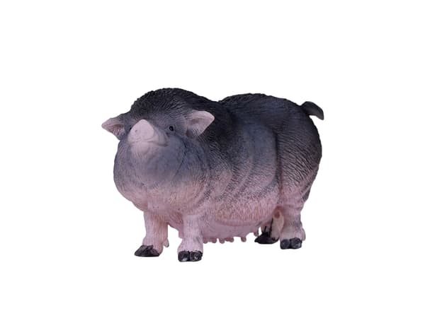 Mojo Belt Pig