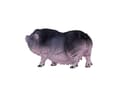Pikkukuva 1 / 5: Mojo Belt Pig