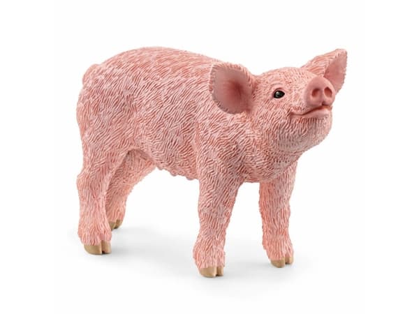 schleich Farm World Piglet, 3 vuosi/vuosia, Vaaleanpunainen