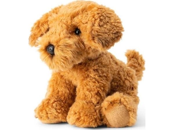 Pies Cockapoo