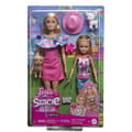 Miniatyrbild 6 av 6: Barbie-Stacie och Barbie dockset med 2 valpar och tillbehör HRM09