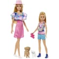 Miniatyrbild 1 av 6: Barbie-Stacie och Barbie dockset med 2 valpar och tillbehör HRM09