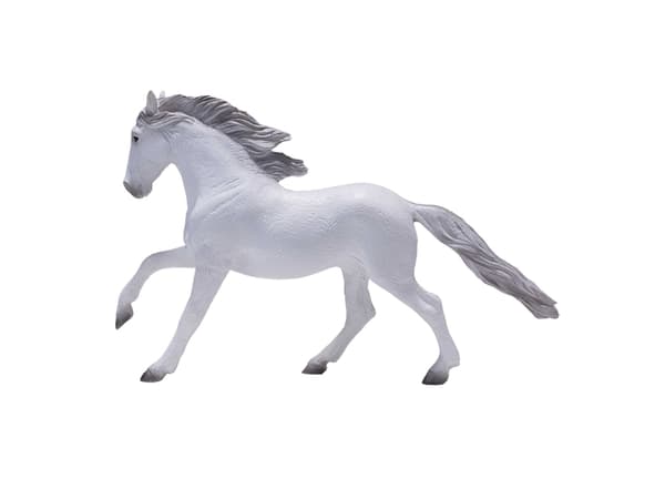 Mojo Lisitano Hest