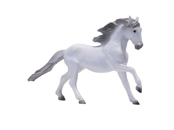 Mojo Lisitano Hest