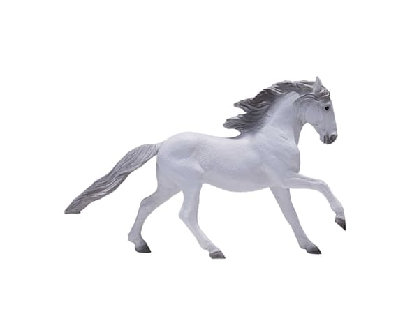 Mojo Lisitano Hest
