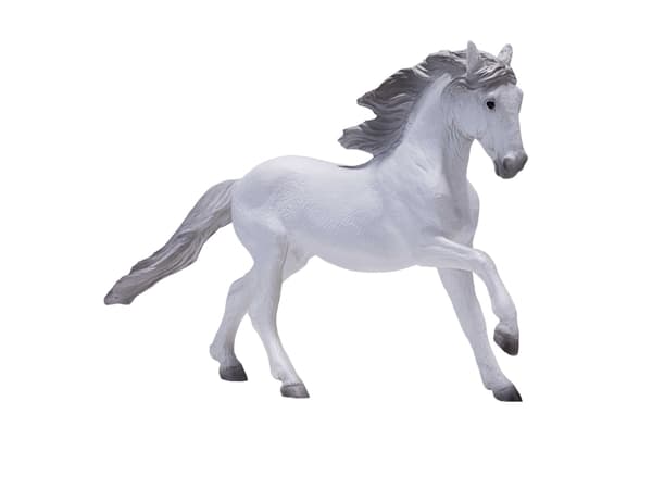 Mojo Lisitano Hest