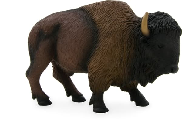 Mojo Amerikansk bison