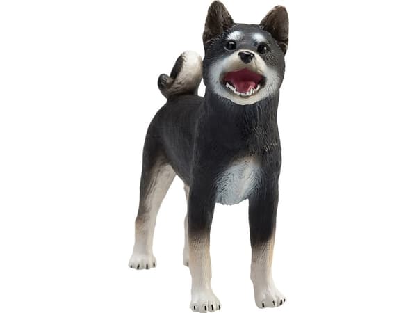 Mojo Shiba Inu hund, sort