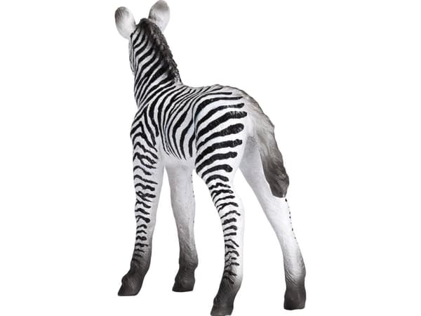 Mojo Zebra Føl