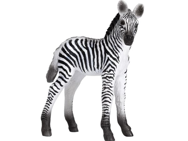 Mojo Zebra Føl