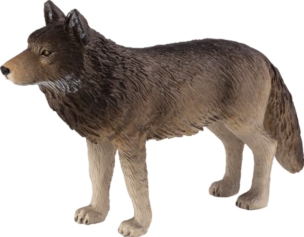 Mojo Wolf seisomassa