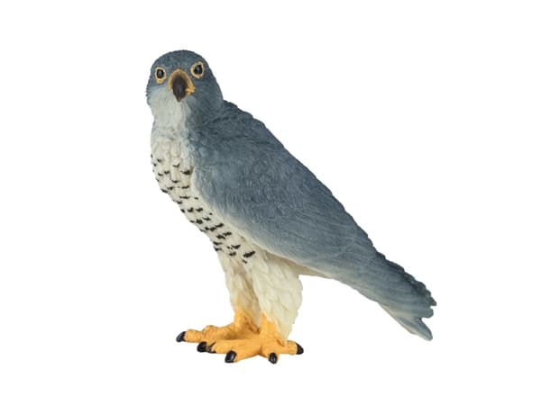 Mojo Vandrefalk