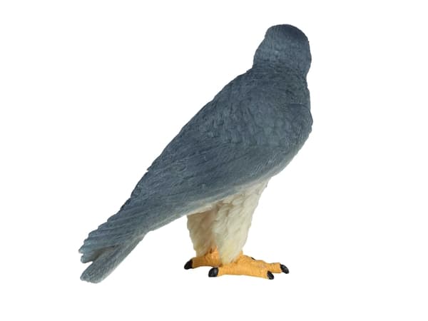 Mojo Vandrefalk