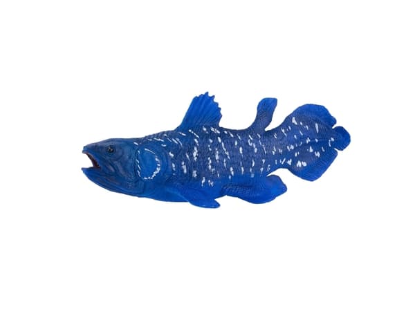 Mojo Coelacanths fisk