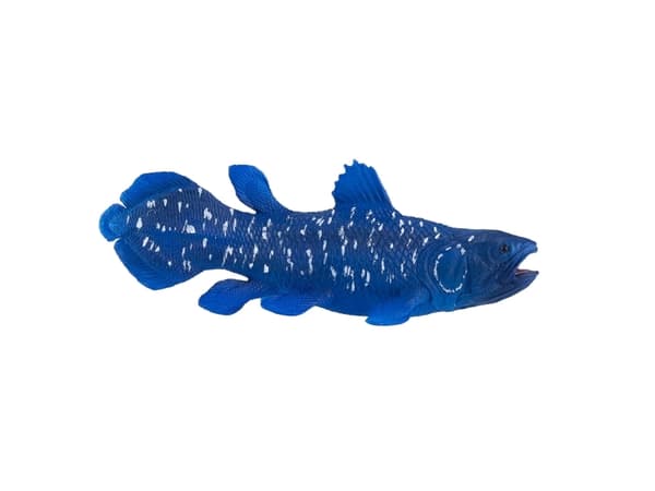 Mojo Coelacanths fisk
