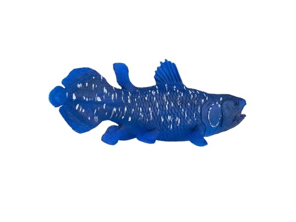 Mojo Coelacanths fisk