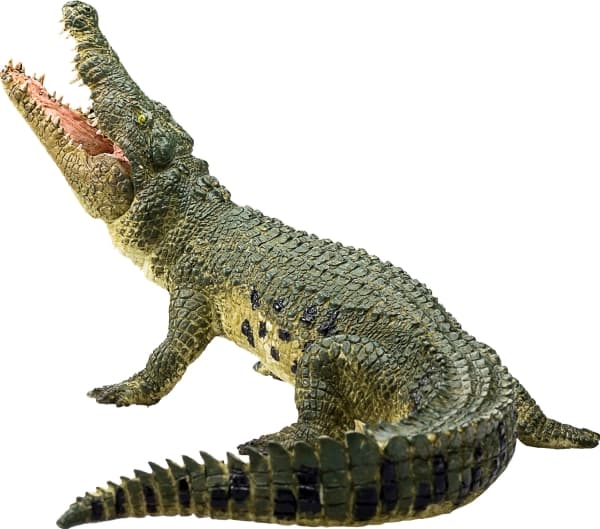 Mojo krokodil