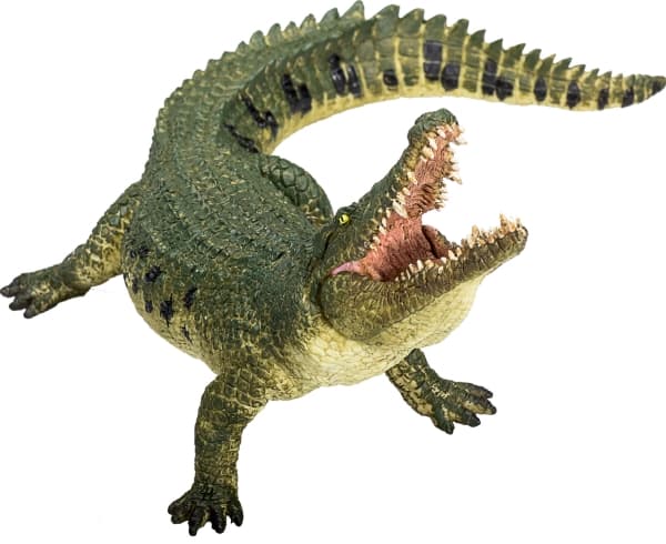 Mojo krokodil