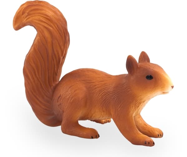 Mojo Squirrel, springer