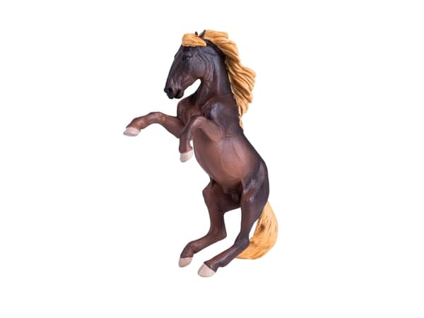 Mojo Brumby hoppe