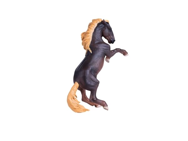 Mojo Brumby hoppe