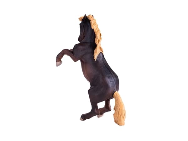 Mojo Brumby hoppe