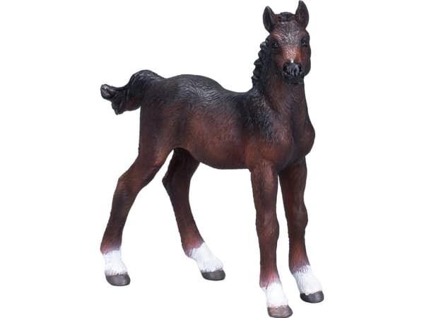 Mojo hanoverian Føl, Brun